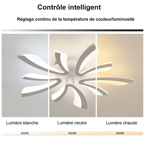 Schéma des effets d'éclairage au plafond
