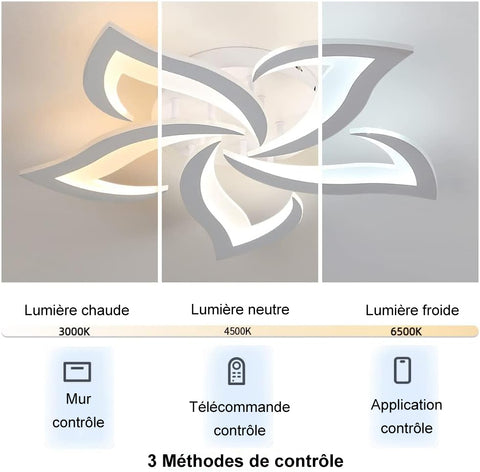 Détails du plafonnier