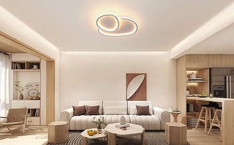 Moderna lámpara de techo LED regulable en forma de guijarro - blanca, 50*45,5*6,5 cm, con mando a distancia, tres colores de luz, 220 V - para salón, dormitorio
